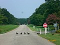 2007-08-15_vacation_busch_001-r.jpg